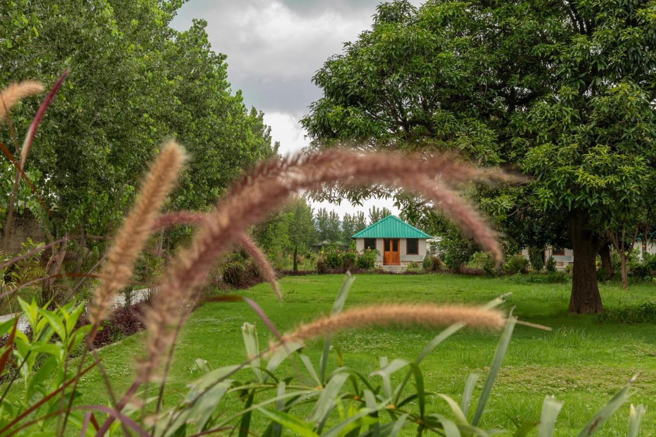 Zana Luxury Forest Resort, Ranthambore 萨瓦伊马多普尔 外观 照片