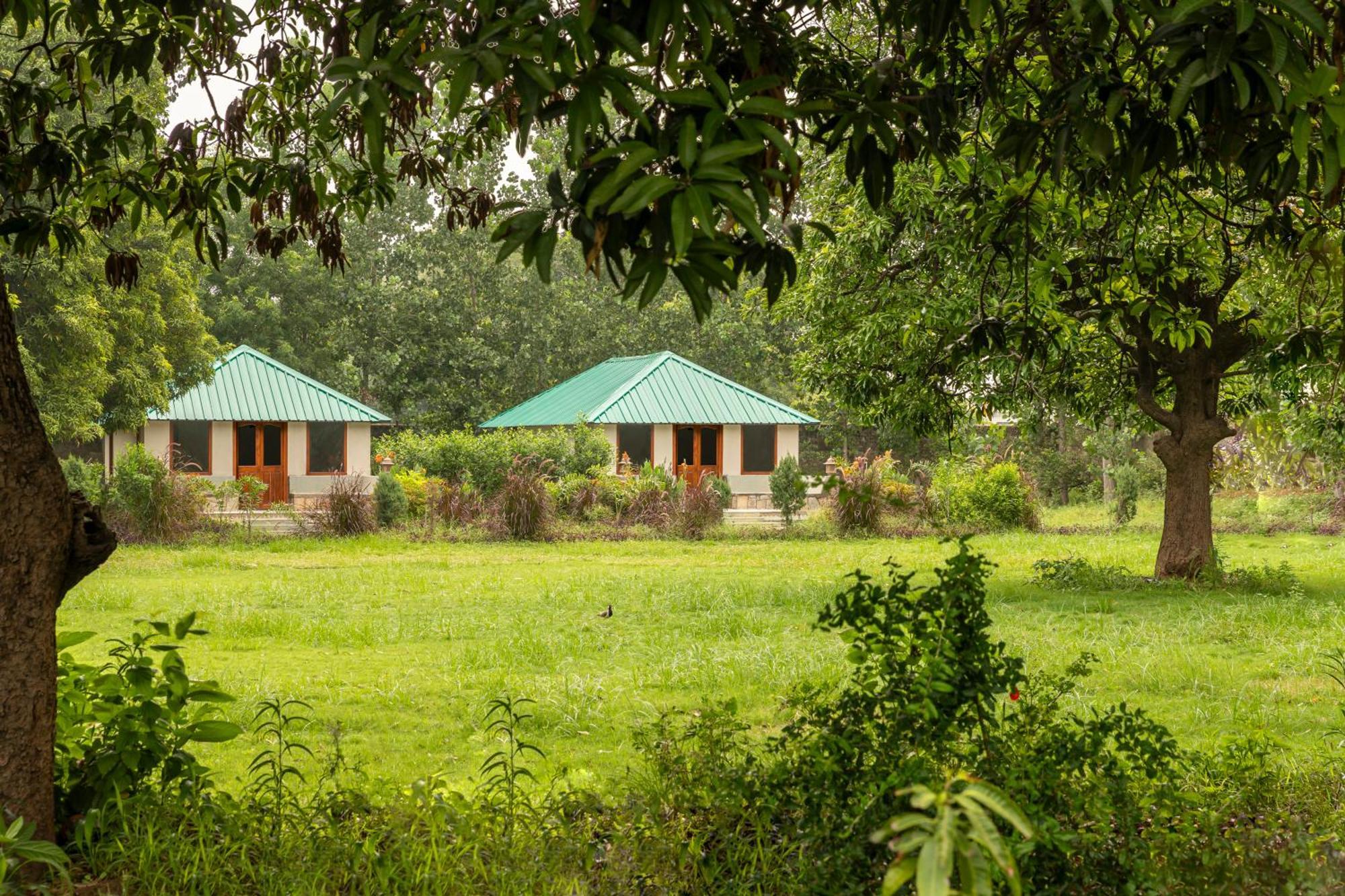 Zana Luxury Forest Resort, Ranthambore 萨瓦伊马多普尔 外观 照片